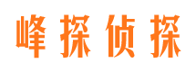 商南市婚外情调查